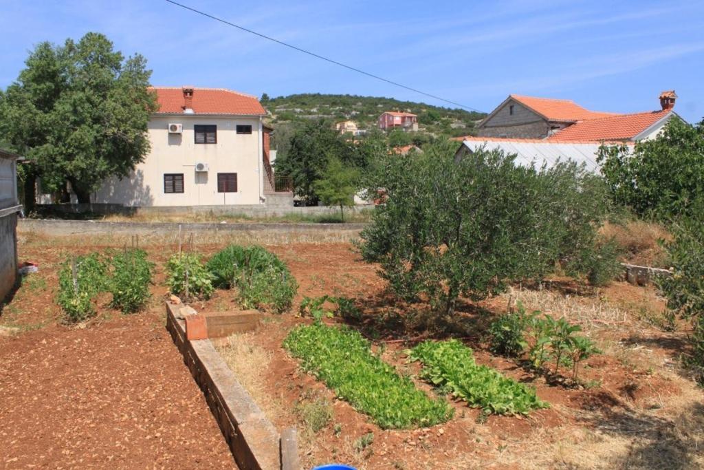 Apartments With A Parking Space Sali, Dugi Otok - 8172 Esterno foto